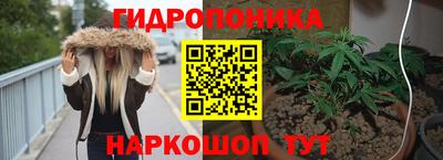 стаф Кулебаки