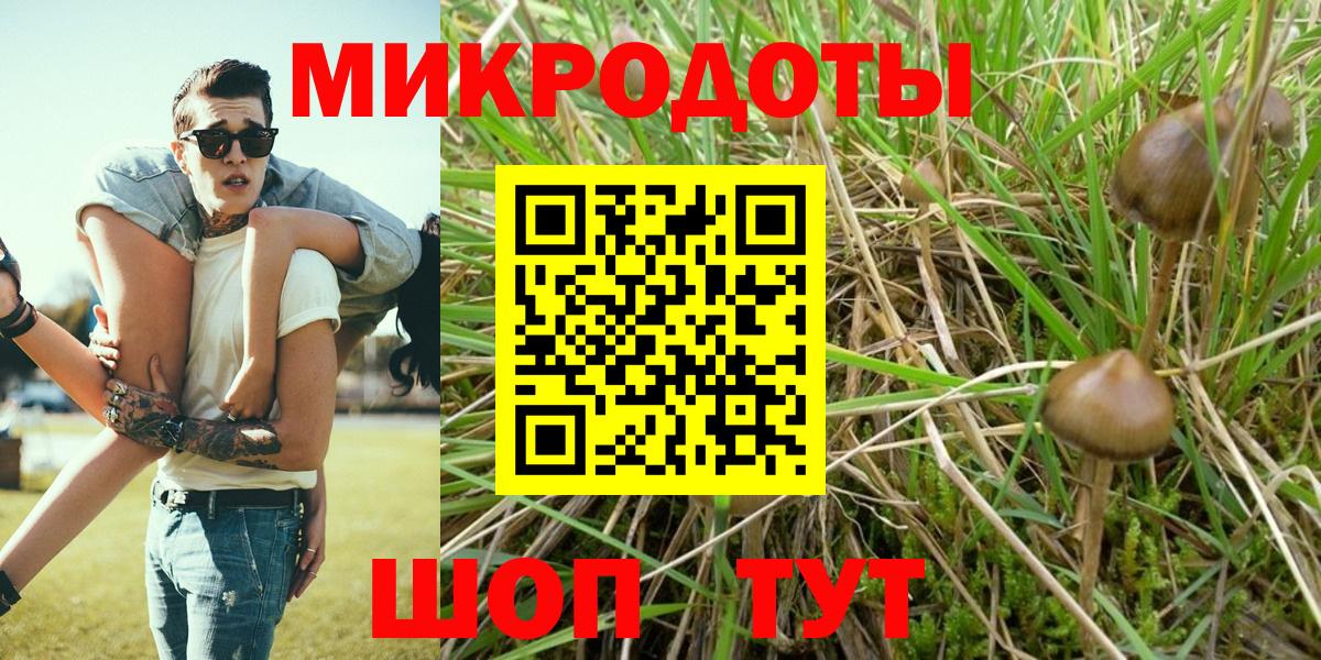 Донской  Псилоцибиновые грибы прущие грибы  Псилоцибиновые грибы прущие грибы  Вход с VPN 