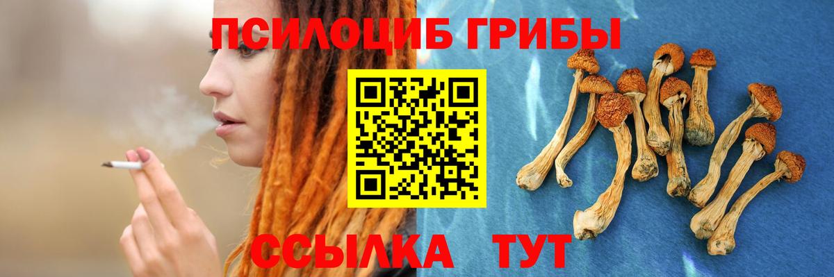 Галлюциногенные грибы мухоморы Донской